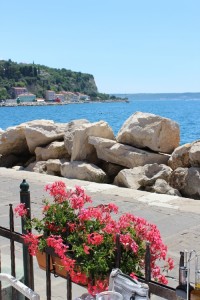 piran coast