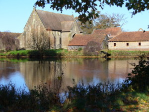 Autumn_at_Oxenford_Grange_-_geograph.org.uk_-_280757