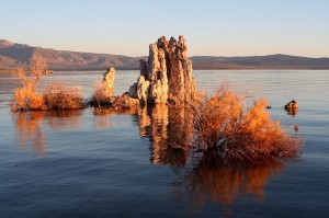 800px-Mono_lake_tufa